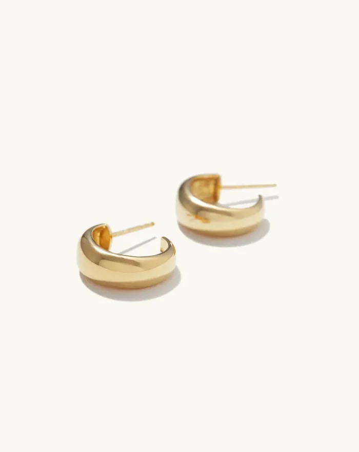 Golden Hoops Earrings